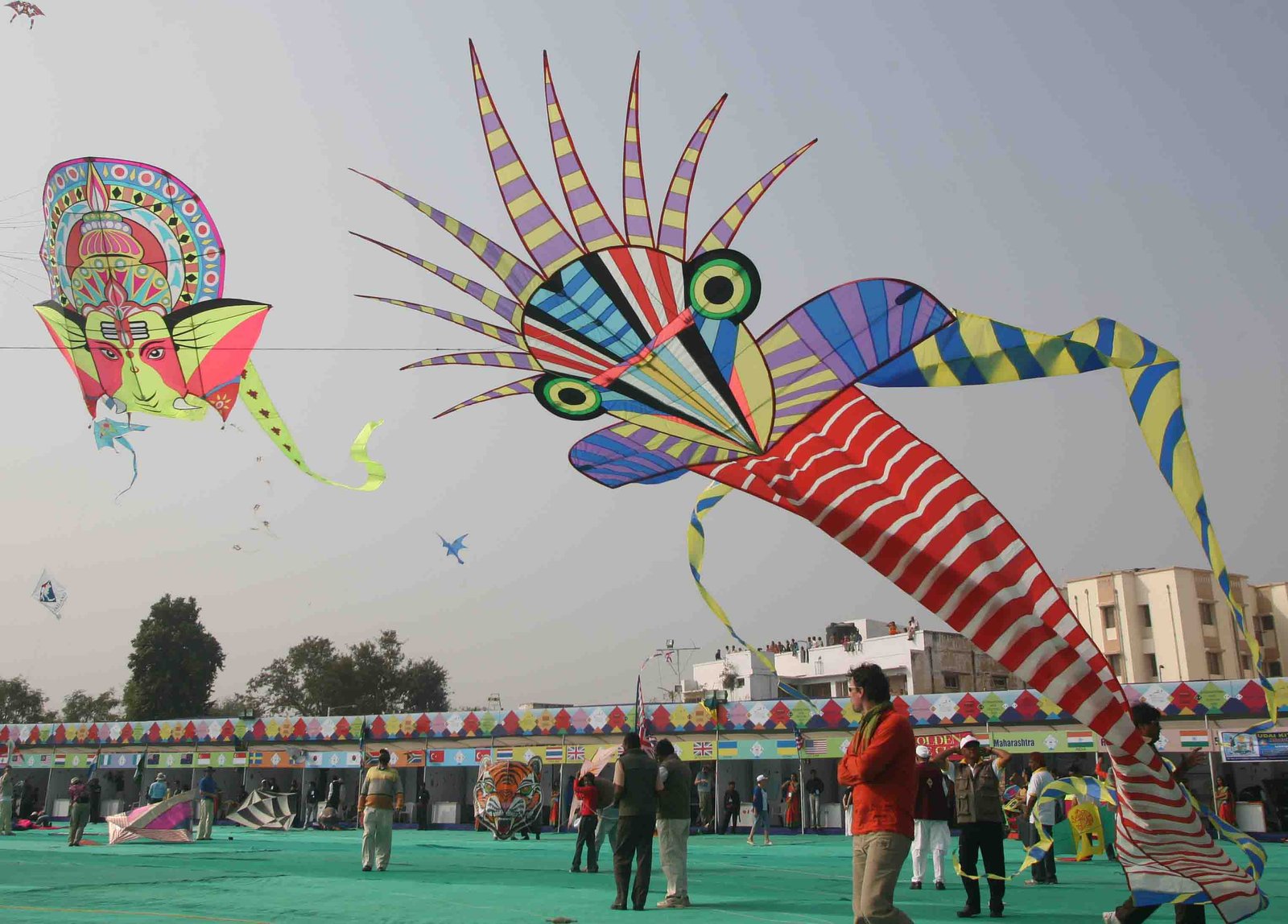 Festival du cerf-volant à Gujrat