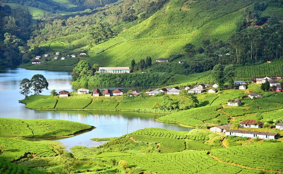 Cochin - Munnar